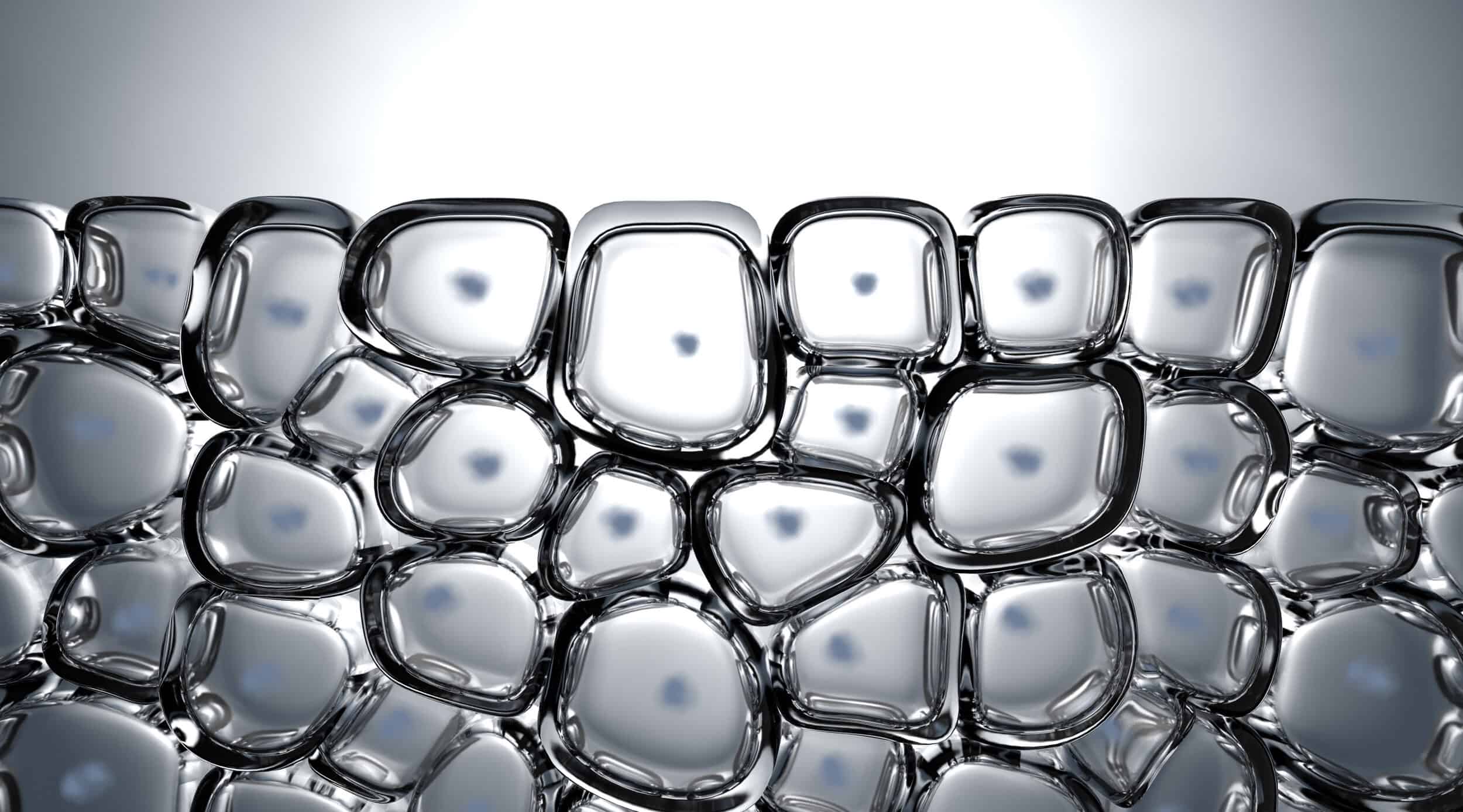 Wellbeing-Focused Swimming Pool | Chemical-Free Natural Swimming Pools